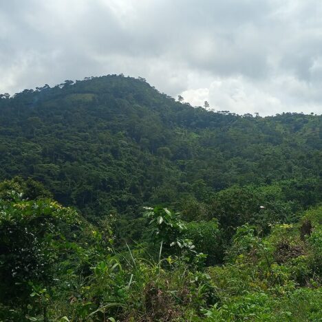 Fil’o Parc (Lomé)